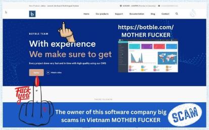 The Cyber Fraud Chronicles: Dissecting Deception in Vietnam's Software Scene
